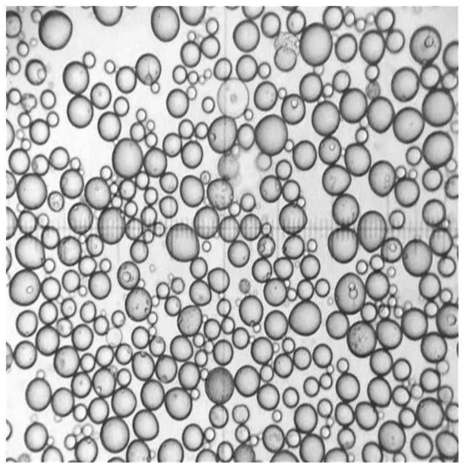 Composite multi-component collagen microemulsion filler and preparation method thereof