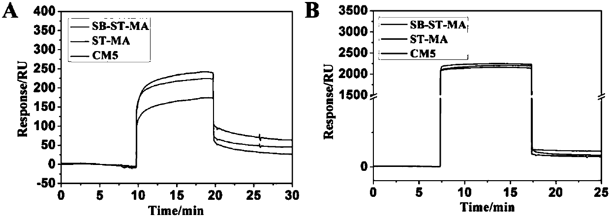 Preparation method of two-ion starch-based stem cell expansion hydrogel and stem cell expansion and collection method