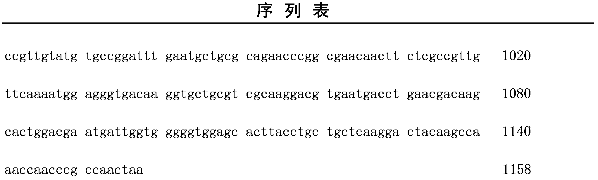 Recombinant escherichia coli capable of producing phosphatidase C, phosphatidase C preparation method, and applications of phosphatidase C