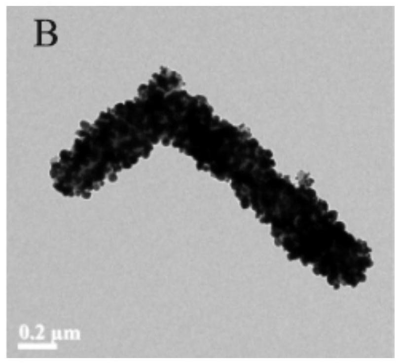 Aptamer modified triazine covalent organic framework composite material, preparation method and application