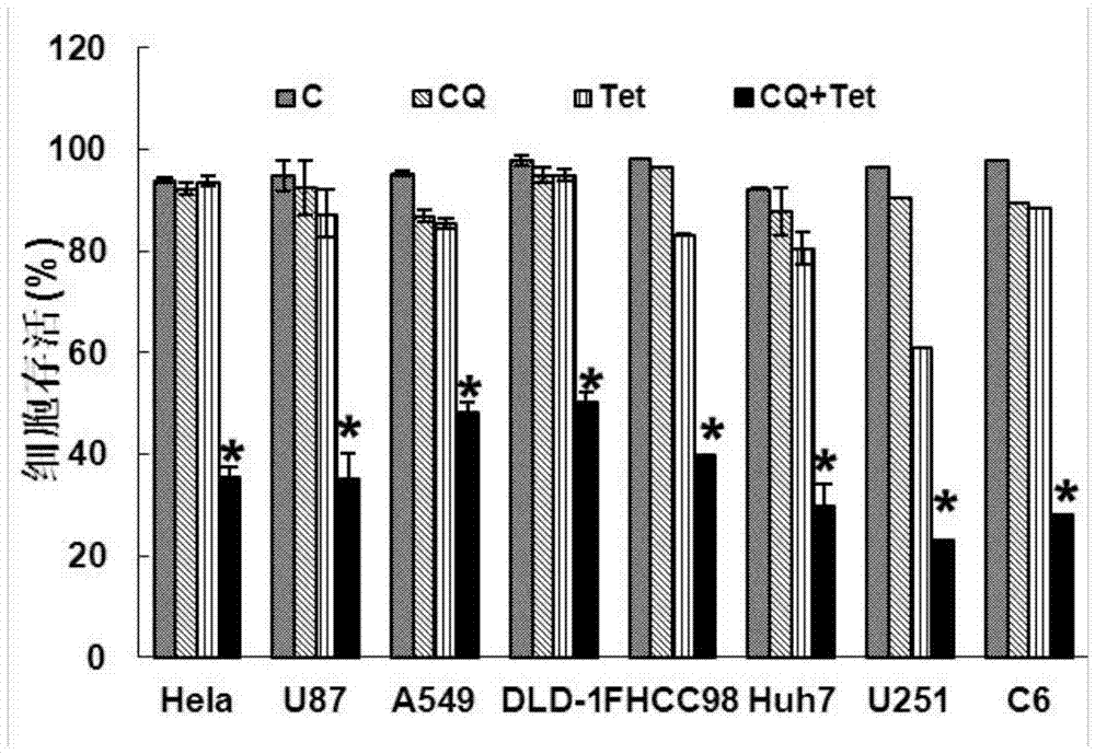 Novel medicine composition for synergistically enhancing capacity of restraining tumor growth