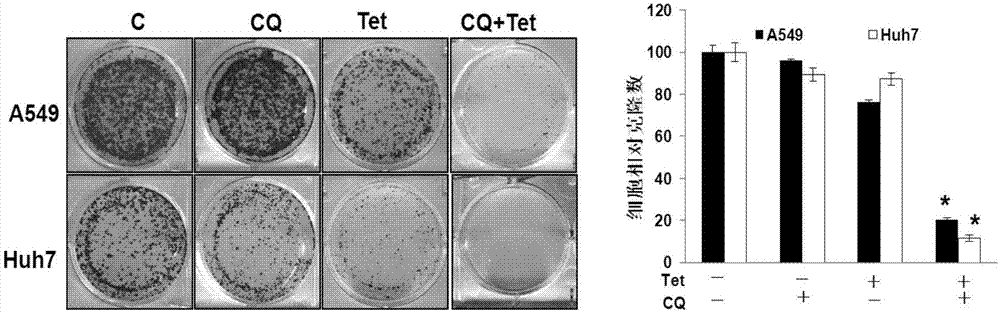 Novel medicine composition for synergistically enhancing capacity of restraining tumor growth