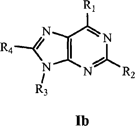 Imidazolopyrimidine analogs and their use as pi3 kinase and mtor inhibitors