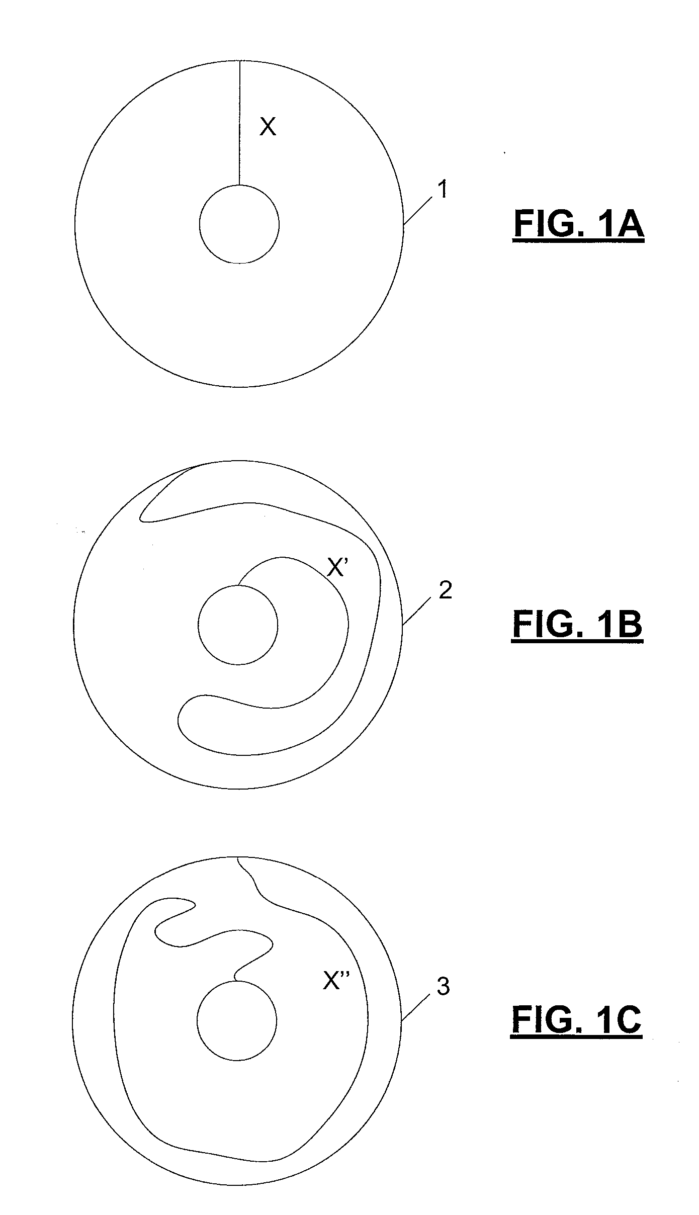 Quantum Computational Systems