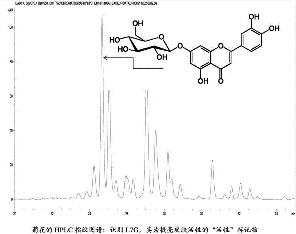 Compositions including a botanical extract and methods of using the same in skin whitening and skin lightening applications