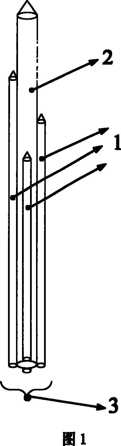 Cluster stimulating micro electrode array capable of being implanted into nerve system of human body