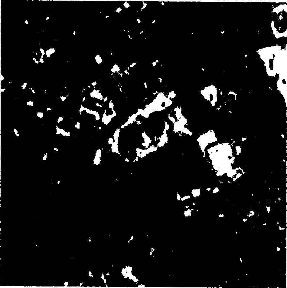 Method for sorting characters of ground object through interfusion of satellite carried microwave and infrared remote sensing