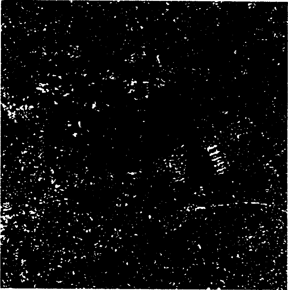 Method for sorting characters of ground object through interfusion of satellite carried microwave and infrared remote sensing