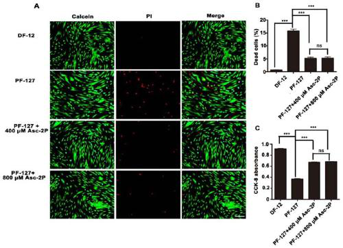 Temperature-sensitive hydrogel compound suitable for carrying human umbilical cord Wharton's Jelly-derived mesenchymal stem cells and application of temperature-sensitive hydrogel compound