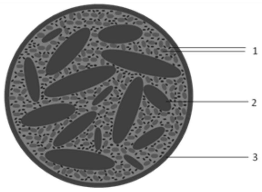 Core-shell type composite negative electrode material as well as preparation method and application thereof