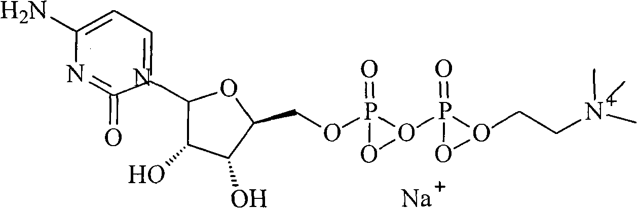 Citicoline sodium liposome solid preparation