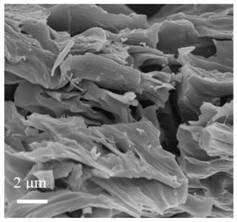 Method for producing nitrogen-doped porous biochar from waste biomass and application of nitrogen-doped porous biochar