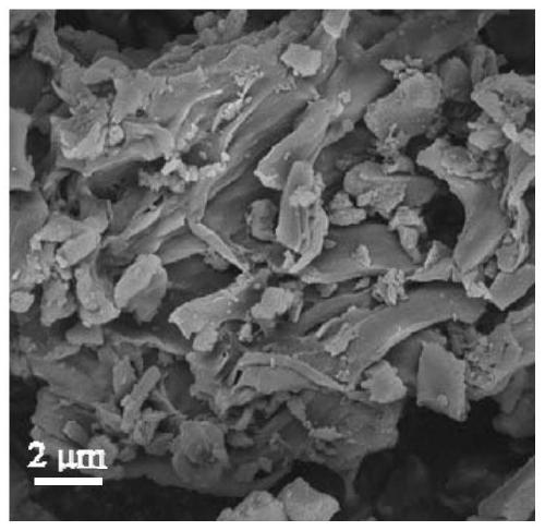 Method for producing nitrogen-doped porous biochar from waste biomass and application of nitrogen-doped porous biochar