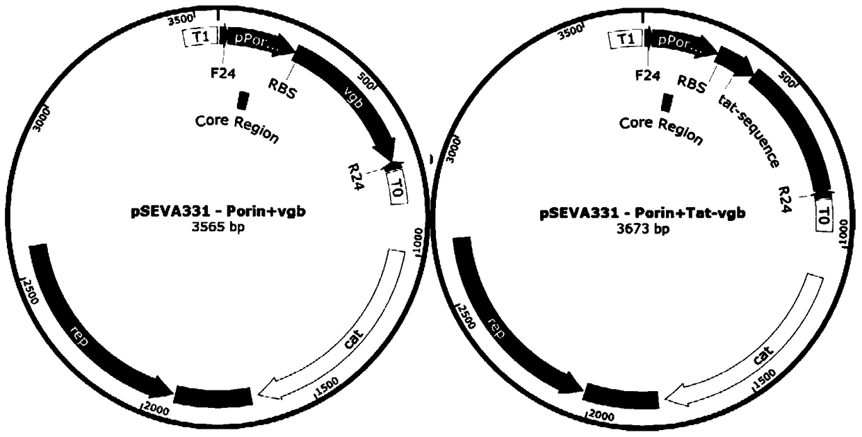 A method for increasing the density of fermented cells by using hemoglobin