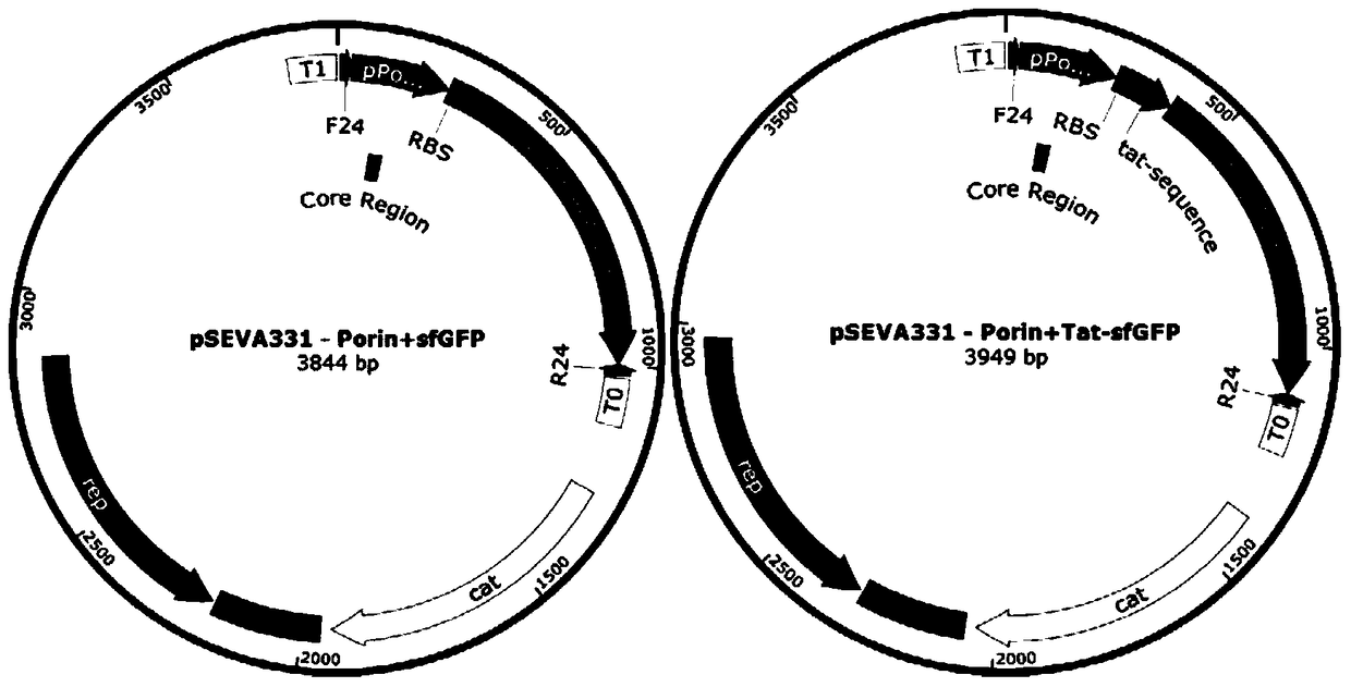 A method for increasing the density of fermented cells by using hemoglobin