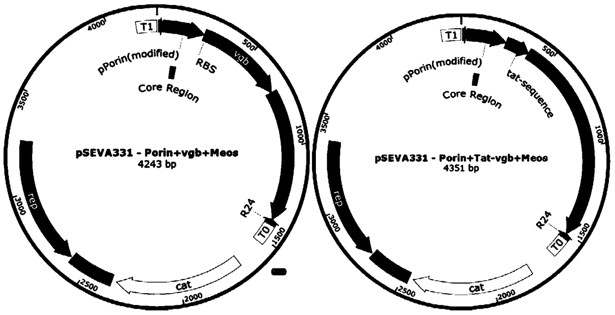 A method for increasing the density of fermented cells by using hemoglobin