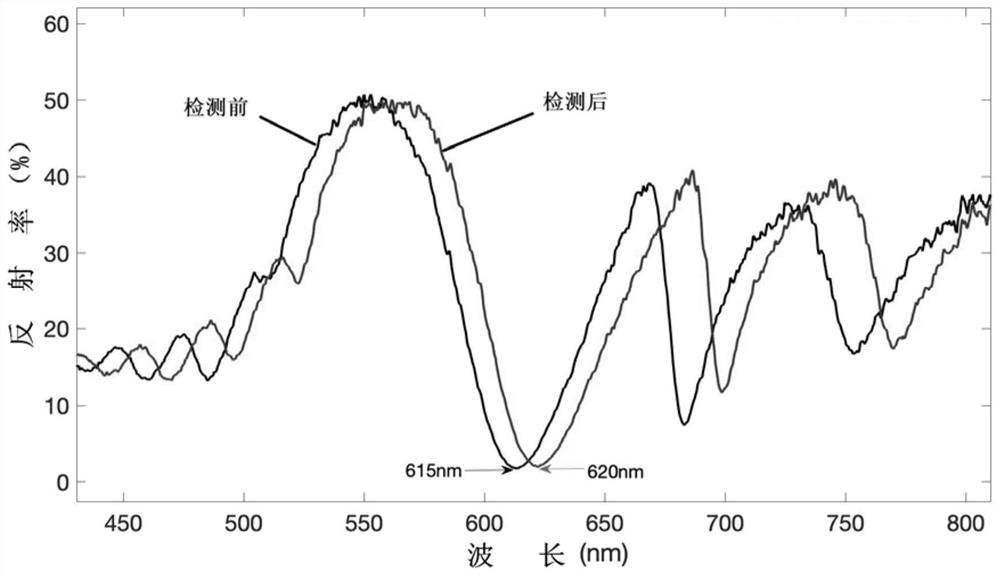 Pathogen automatic detection device and automatic detection method