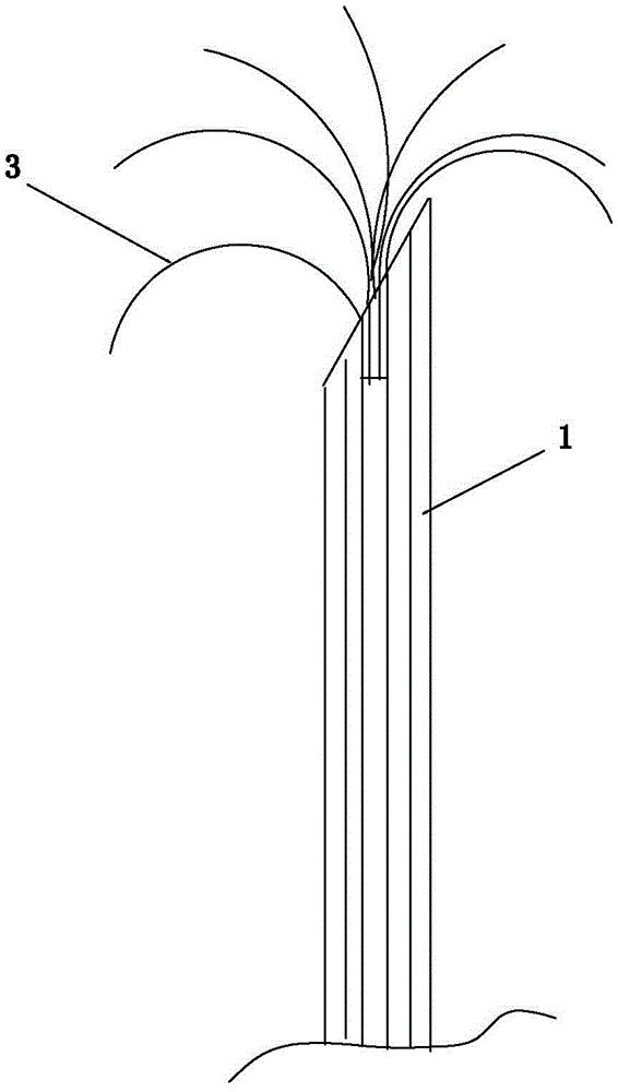 Tumor puncture localizing needle