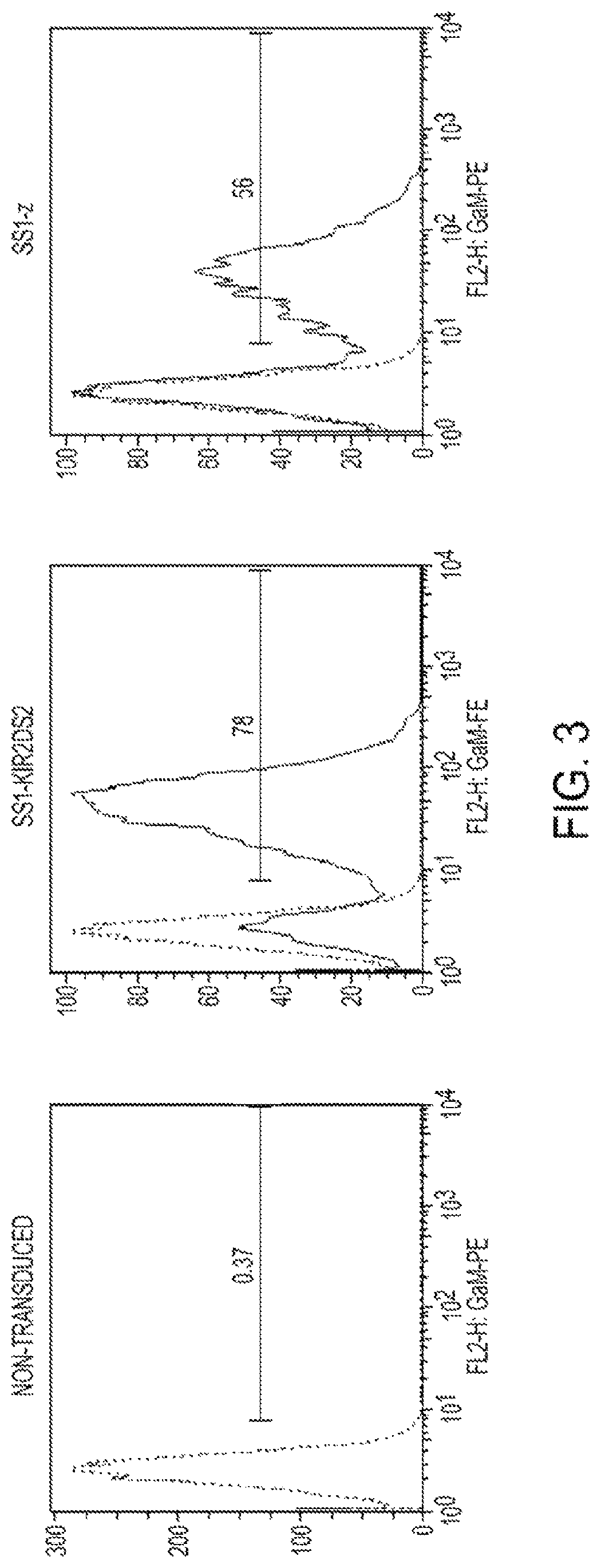 Targeting cytotoxic cells with chimeric receptors for adoptive immunotherapy