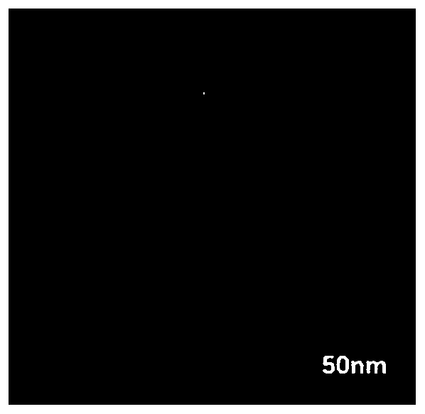 Bionic Janus magnetic-mesoporous silica nanoparticle for specific capture of CTCs, and preparation method and application