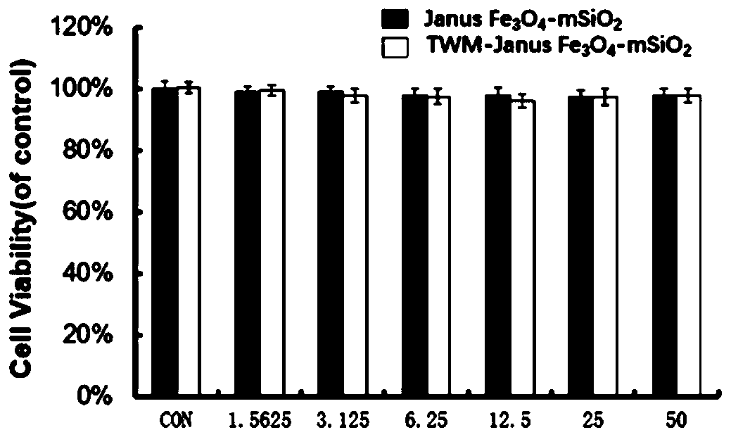 Bionic Janus magnetic-mesoporous silica nanoparticle for specific capture of CTCs, and preparation method and application