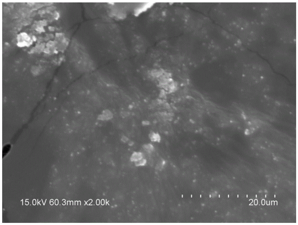 Hydroxyapatite toothpaste and preparation method thereof