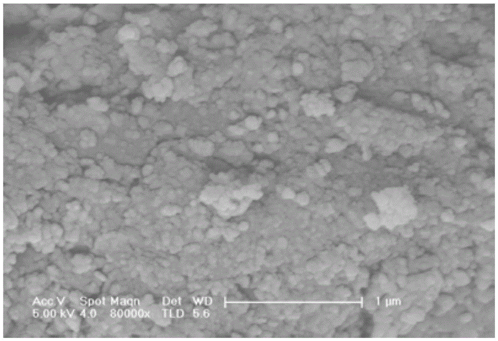 Hydroxyapatite toothpaste and preparation method thereof