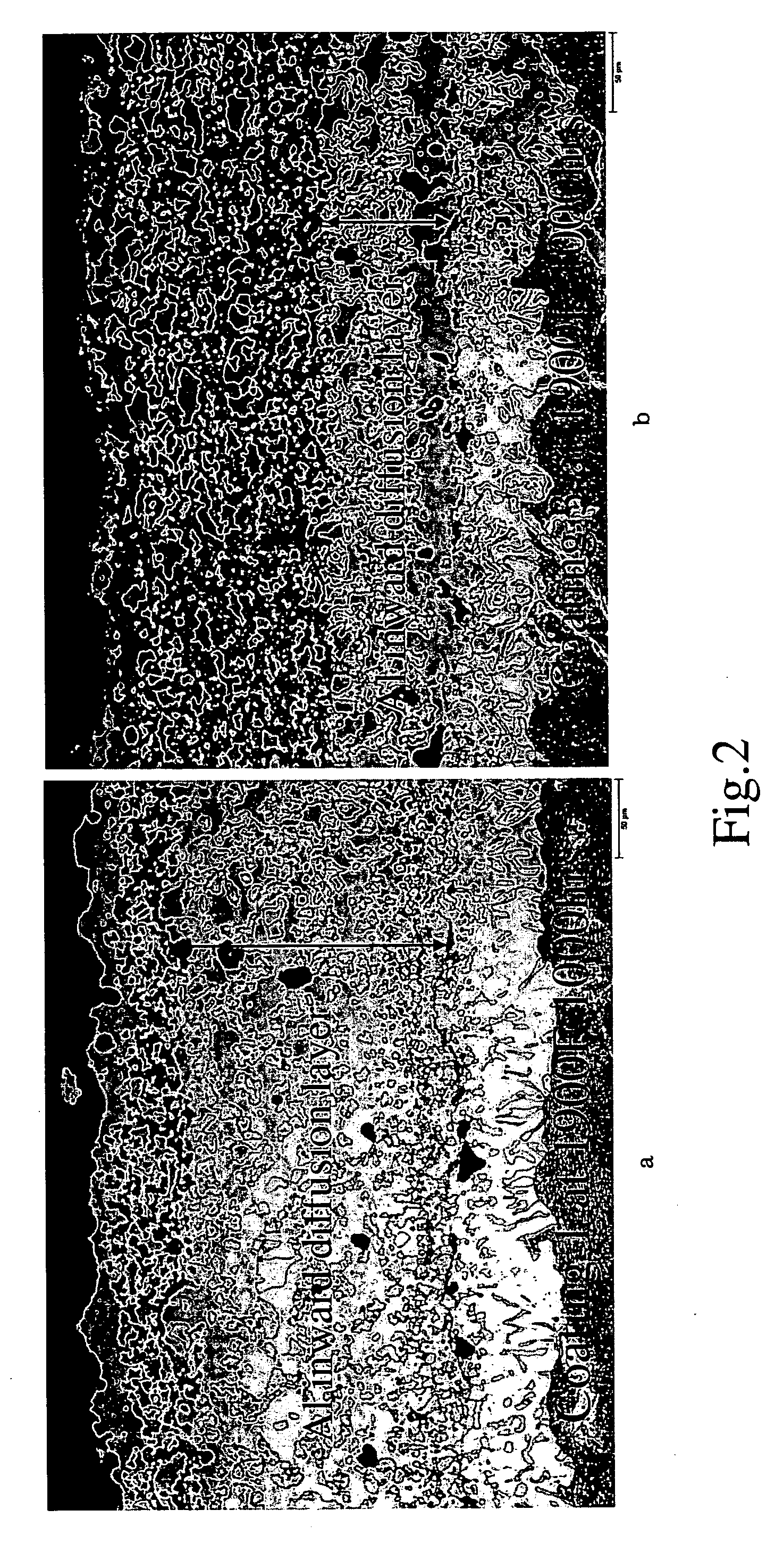 Modified bond coat for increasing the cyclic spallation life of thermal barrier coating