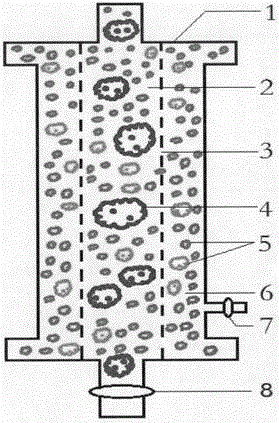 Human Rh positive red blood cell adsorber