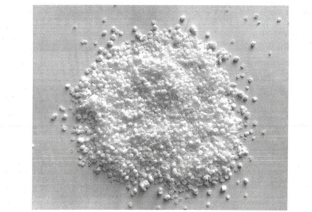 Preparation method of star-shaped SBS (styrene butadiene styrene block polymer)-modified asphalt and production method of waterproof coiled material