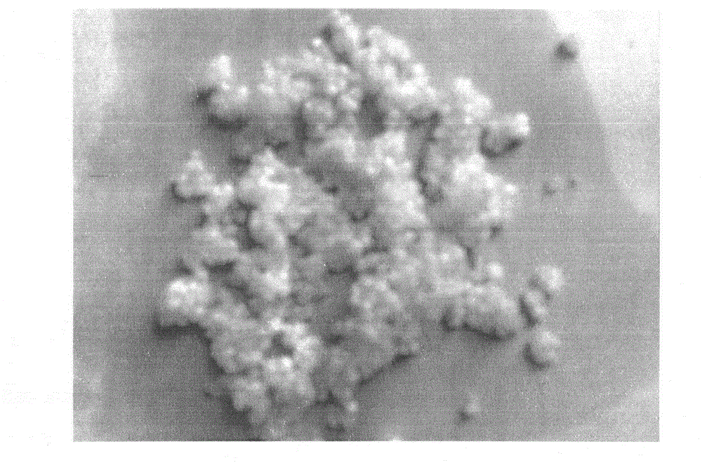 Preparation method of star-shaped SBS (styrene butadiene styrene block polymer)-modified asphalt and production method of waterproof coiled material