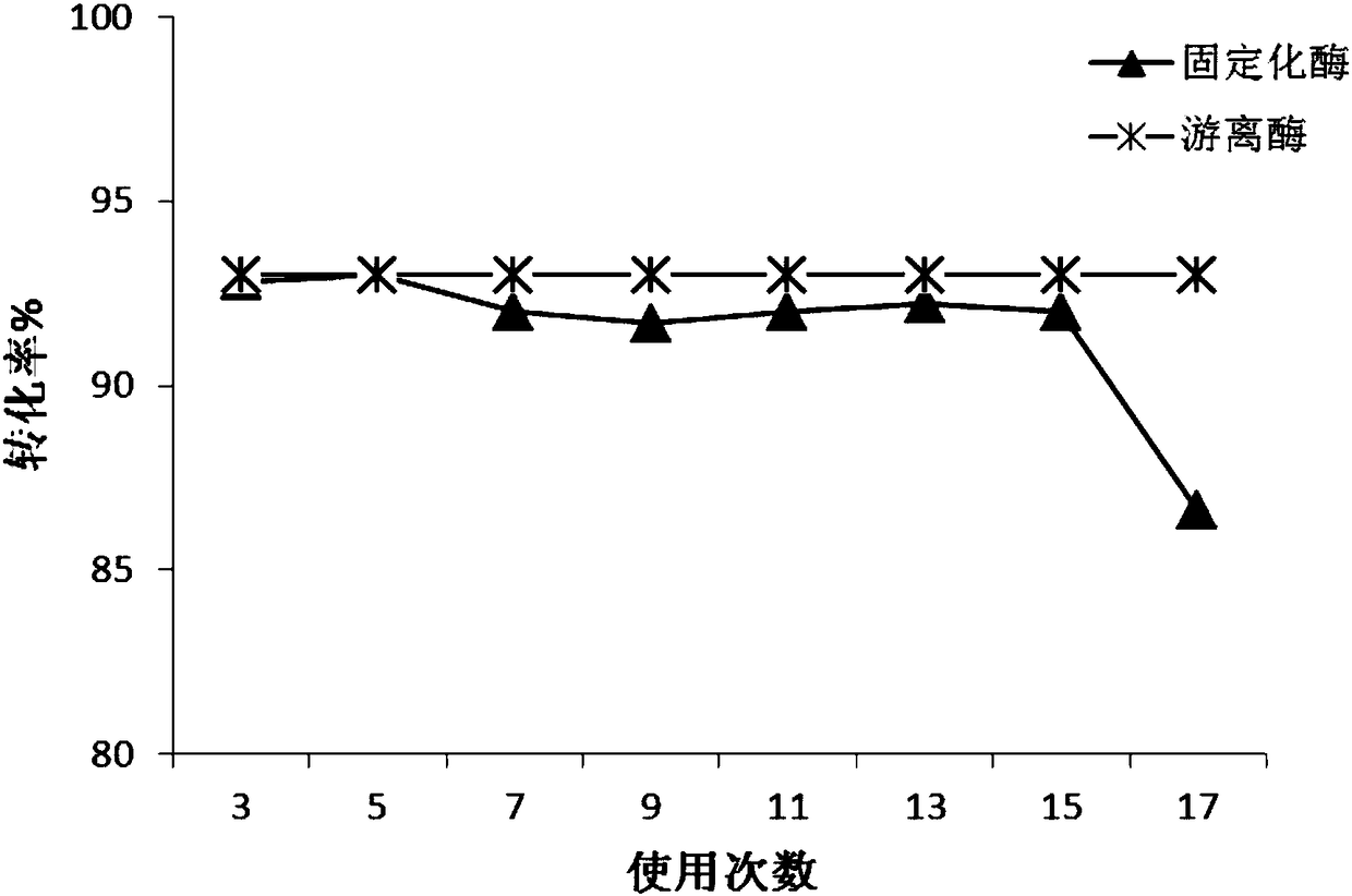 Immobilized trypsin as well as preparation method and application thereof