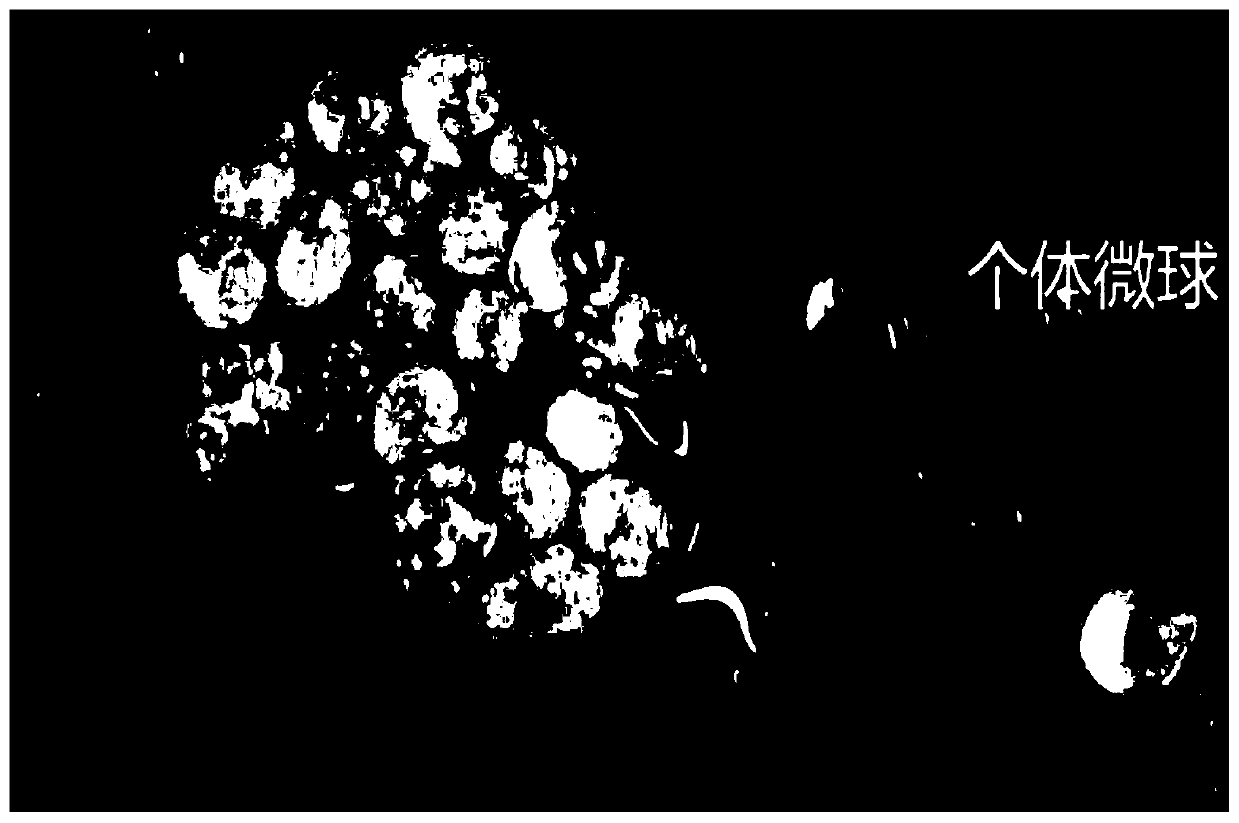 Stink inhibitor for microalgae anaerobic biological fermentation and preparation method thereof