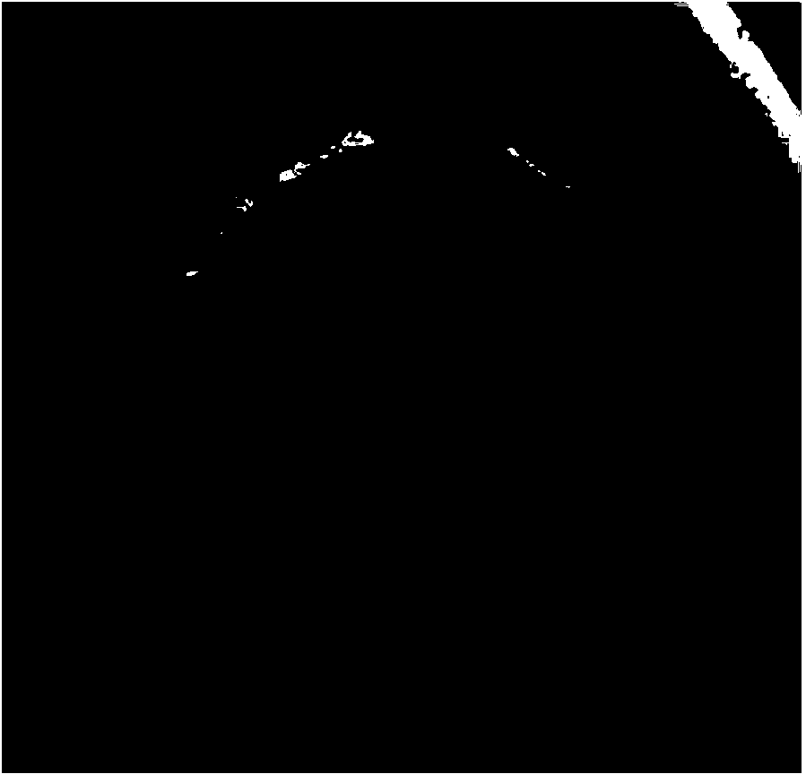 Penicillium expansum FP2 strain and application thereof