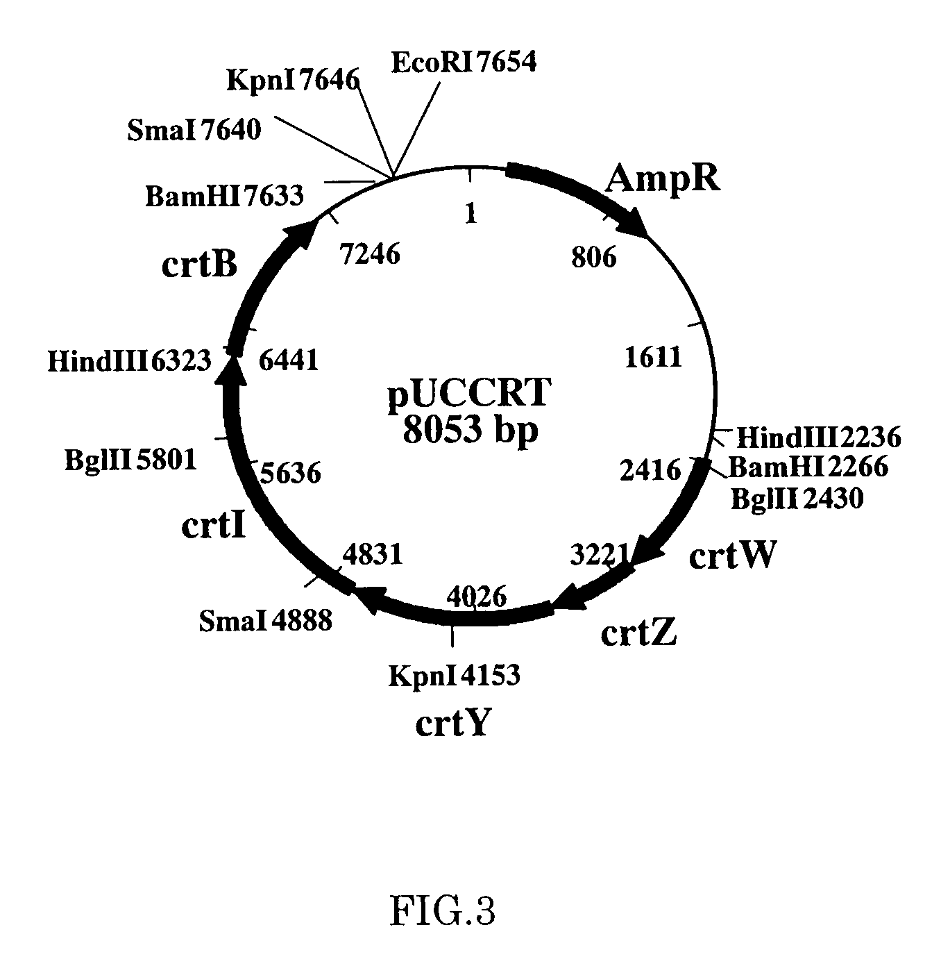 Method for production of carotenoid-synthesizing microorganism and method for production of carotenoid