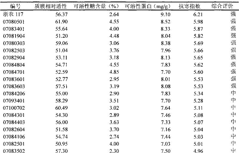 Identification method of Tea plant germ plasma resource seedling-stage coldness resistance