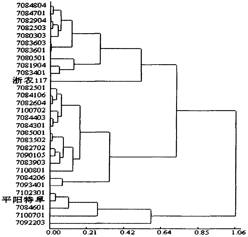 Identification method of Tea plant germ plasma resource seedling-stage coldness resistance