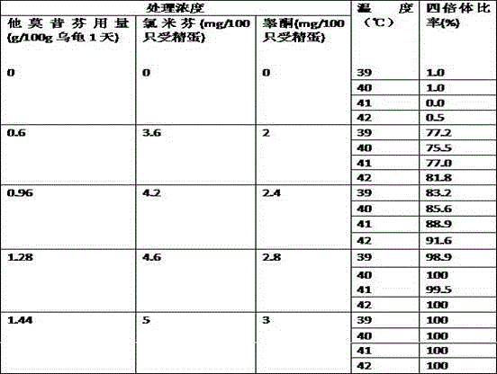 Efficient breeding method for male tetraploid pure line of tortoises