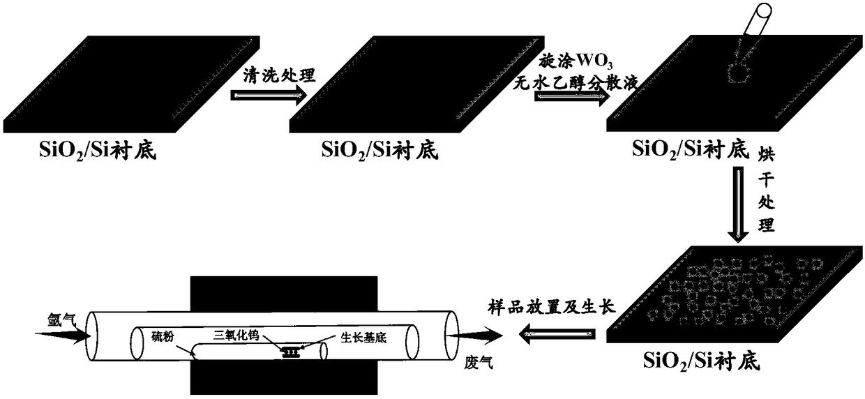 Preparation method for large-area single-layer tungsten disulfide film based on atmospheric pressure chemical vapor deposition and product