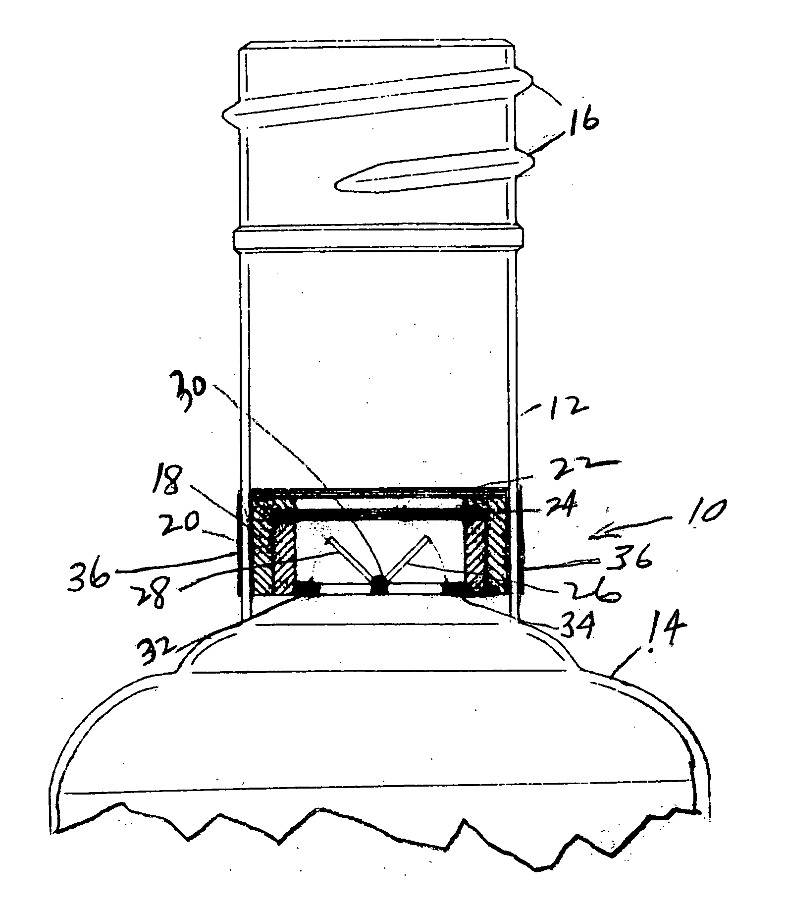 Tamper evident check valve apparatus for use in a beverage bottle and method of use