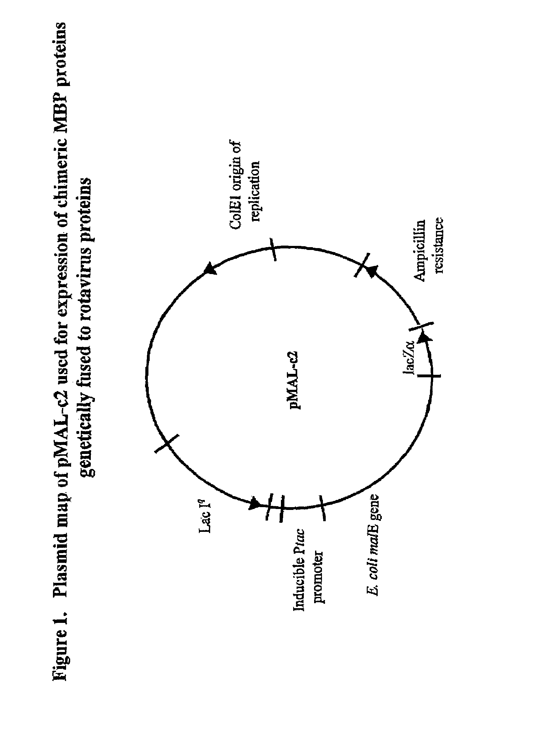 Rotavirus subunit vaccine