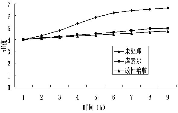 Method for reinforcing carbonate rock stone historical relics