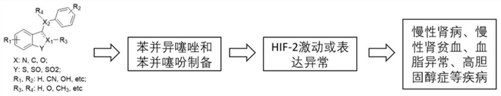 Preparation method and medical application of benzisothiazole and benzothiophene