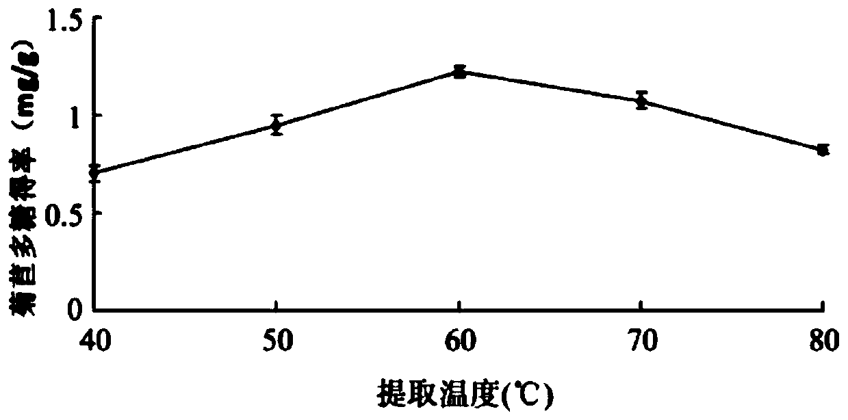 Chicory polysaccharide as well as extraction process and application thereof