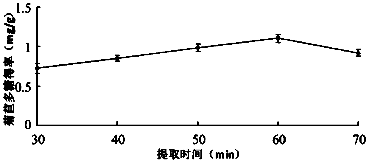 Chicory polysaccharide as well as extraction process and application thereof