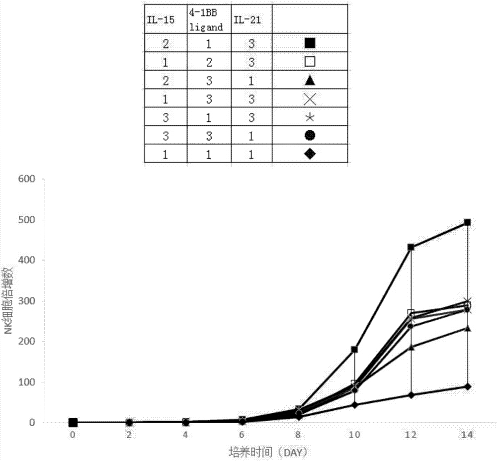 Method for proliferating NK cells in vitro by virtue of magnetic beads coupled with multiple stimulating proteins and application of NK cells