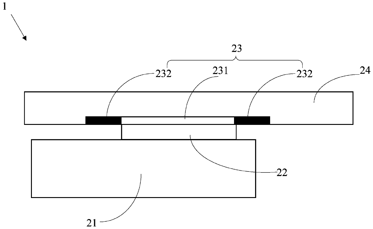 Display screen and display device