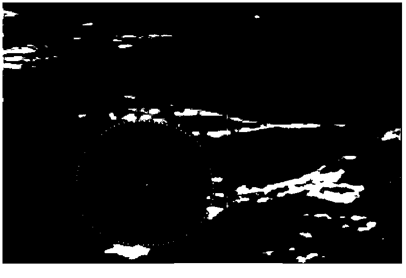 Ultrasonic carotid plaque automatic segmentation method