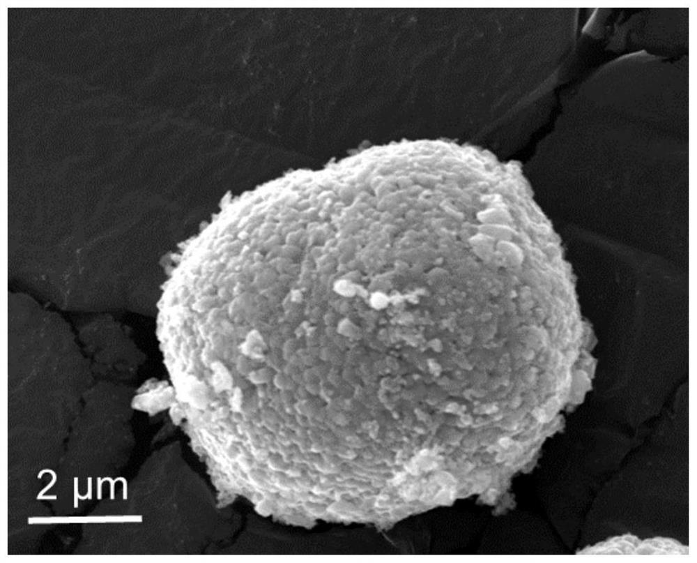 Calcium phosphate coated high-nickel ternary positive electrode material as well as preparation method and application thereof