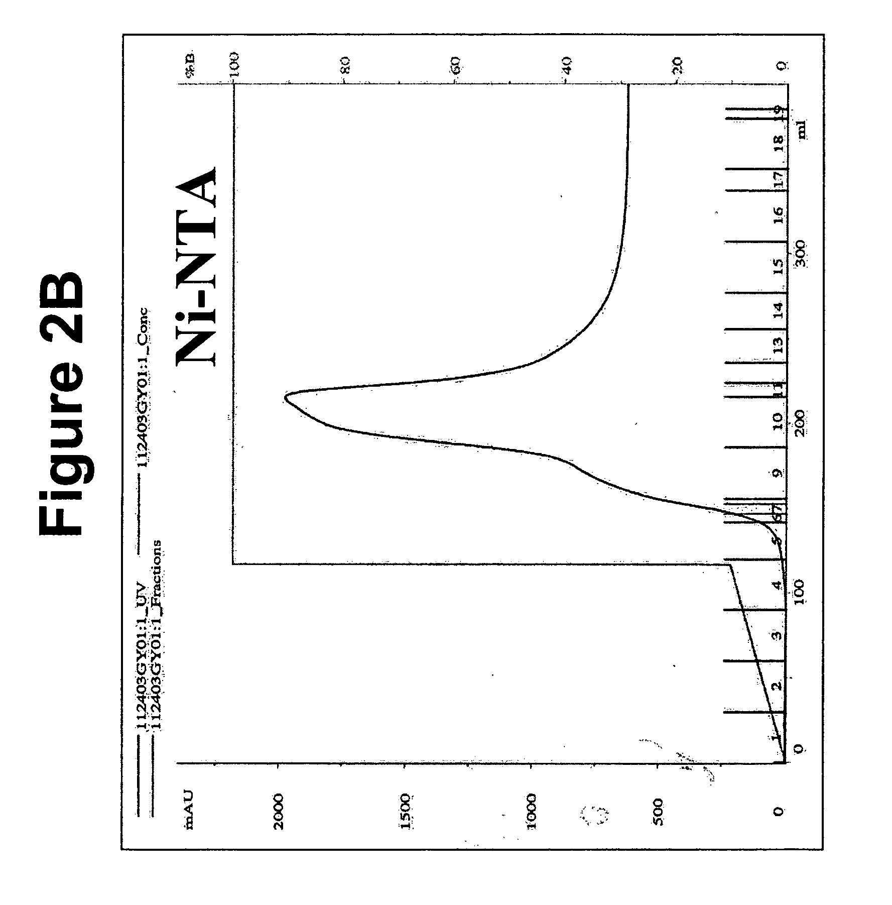 Compositions and methods of purifying myelin-associated glycoprotein (MAG)